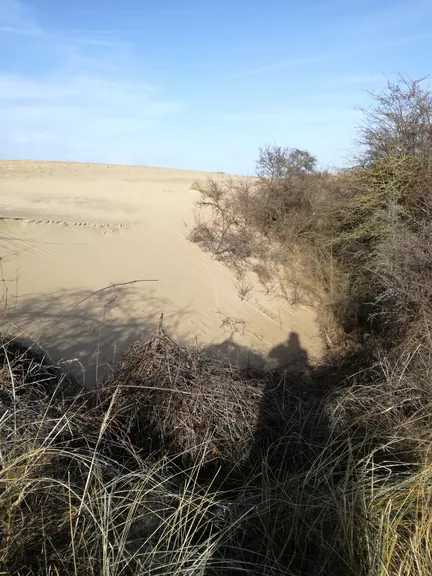 De Panne (België)